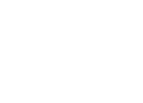 定額制ホームページ制作丨合同会社ネットランド