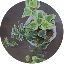 タブレットルカ profile picture